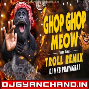 Ghop Ghop Meow X Hijra Banna Hai (Troll Meme Mix) DJ MkB Prayagraj
